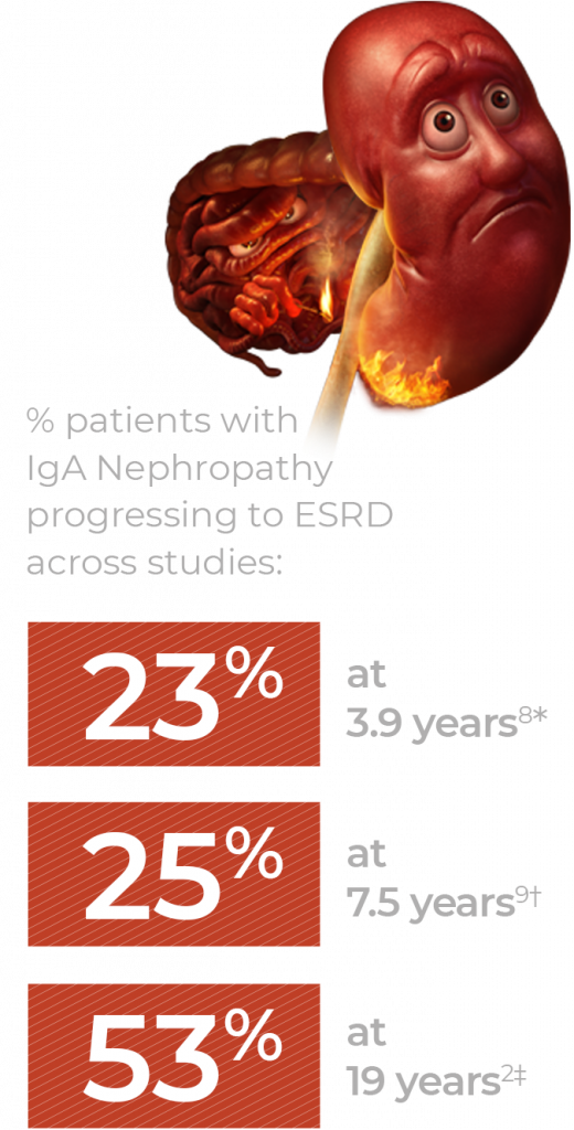 nephropathy-character-chart-d